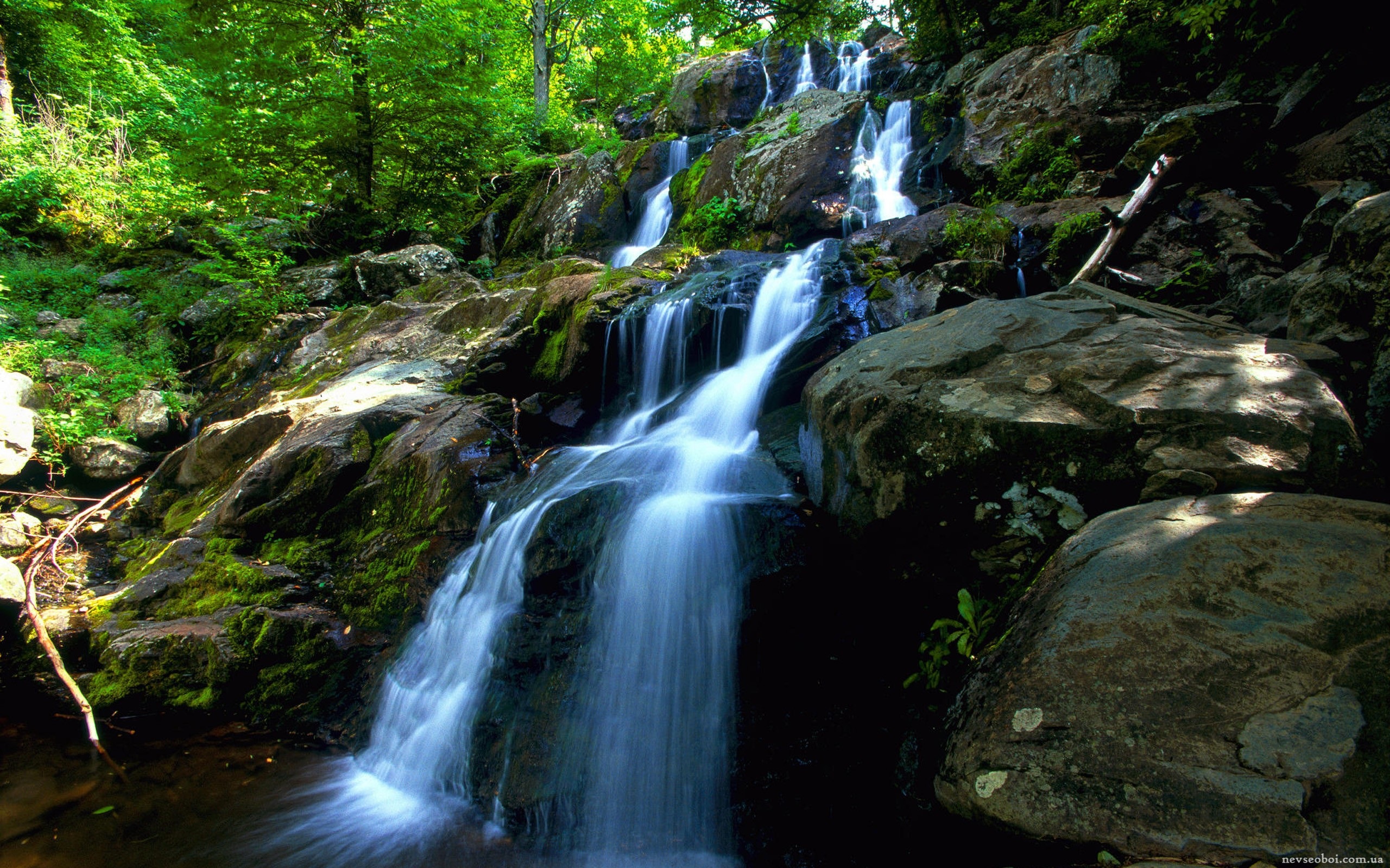 Водопад картинка на рабочий стол. Махунцетский водопад. Водопад в лесу. Живая природа водопады. Красивые водопады.