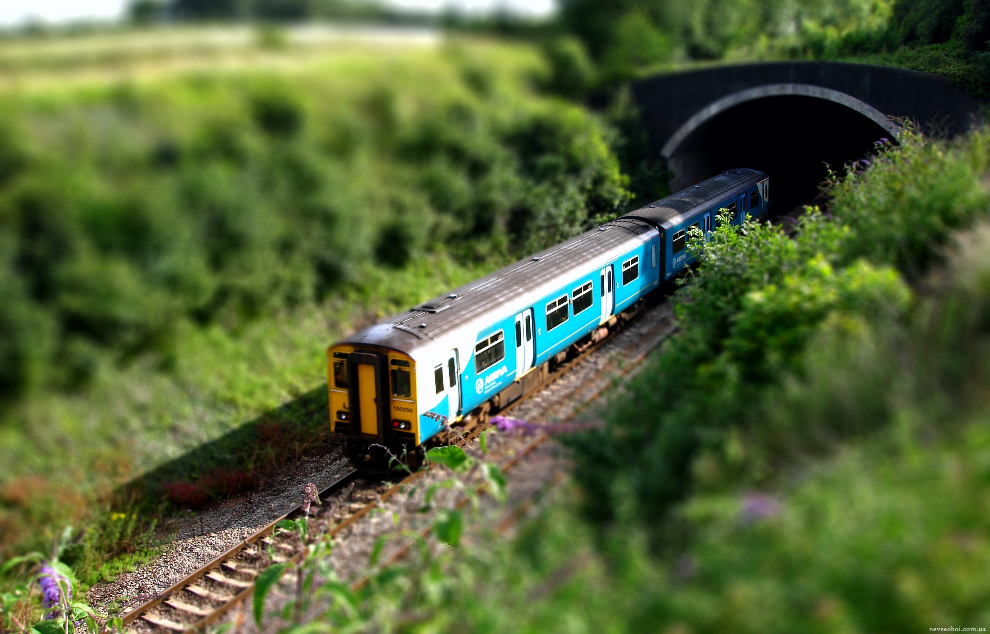 Поезда в реальной жизни. О поездах и железной дороге. Разные поезда. Изображение поезда. Фотографии поездов.